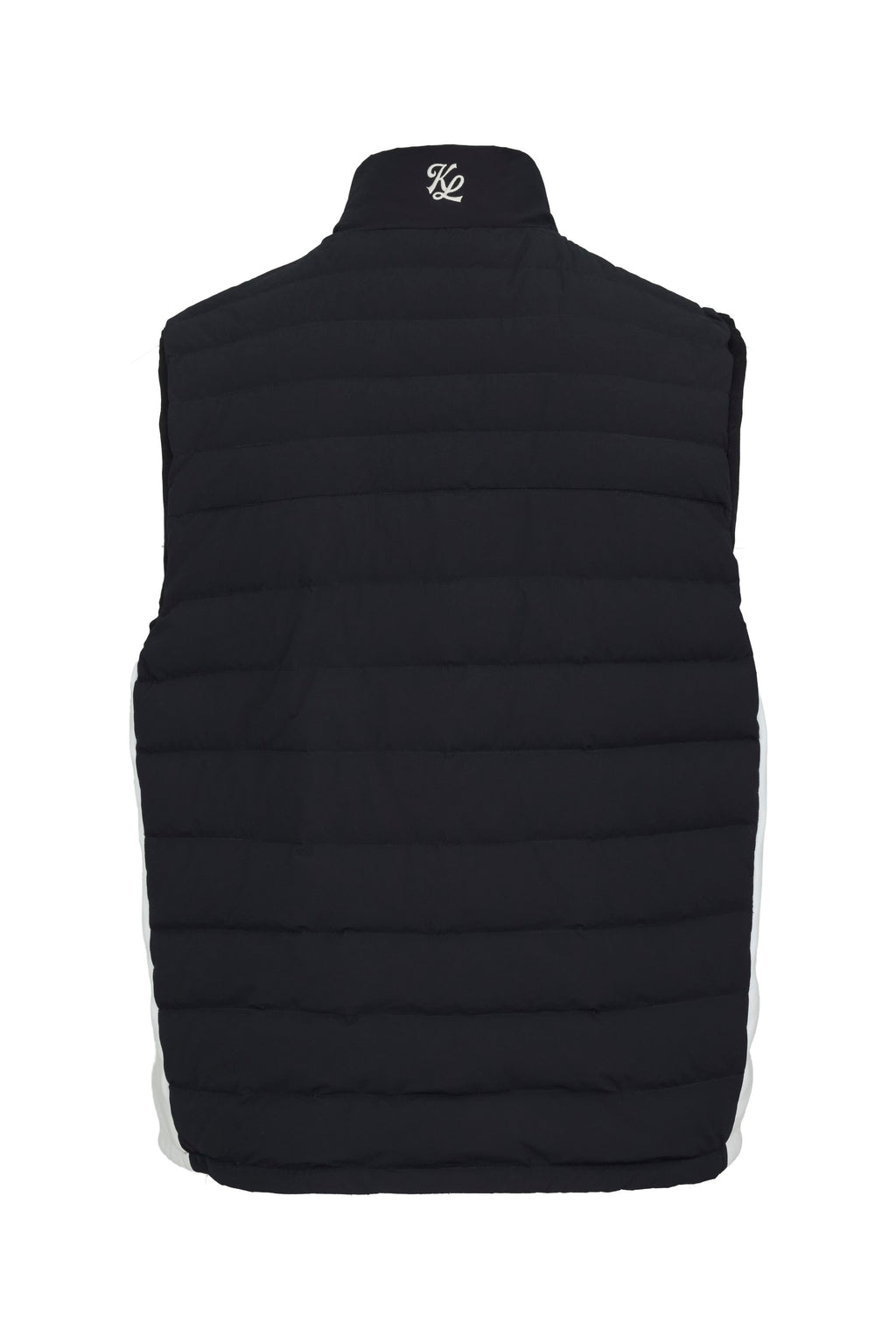 Black back