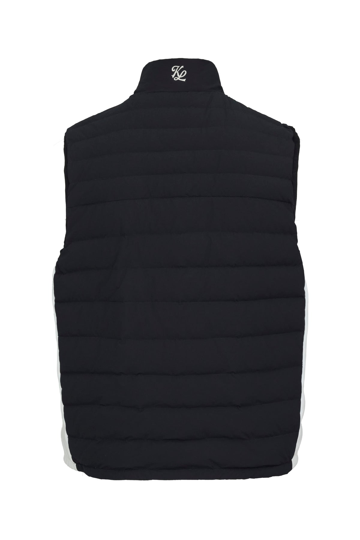 Black back