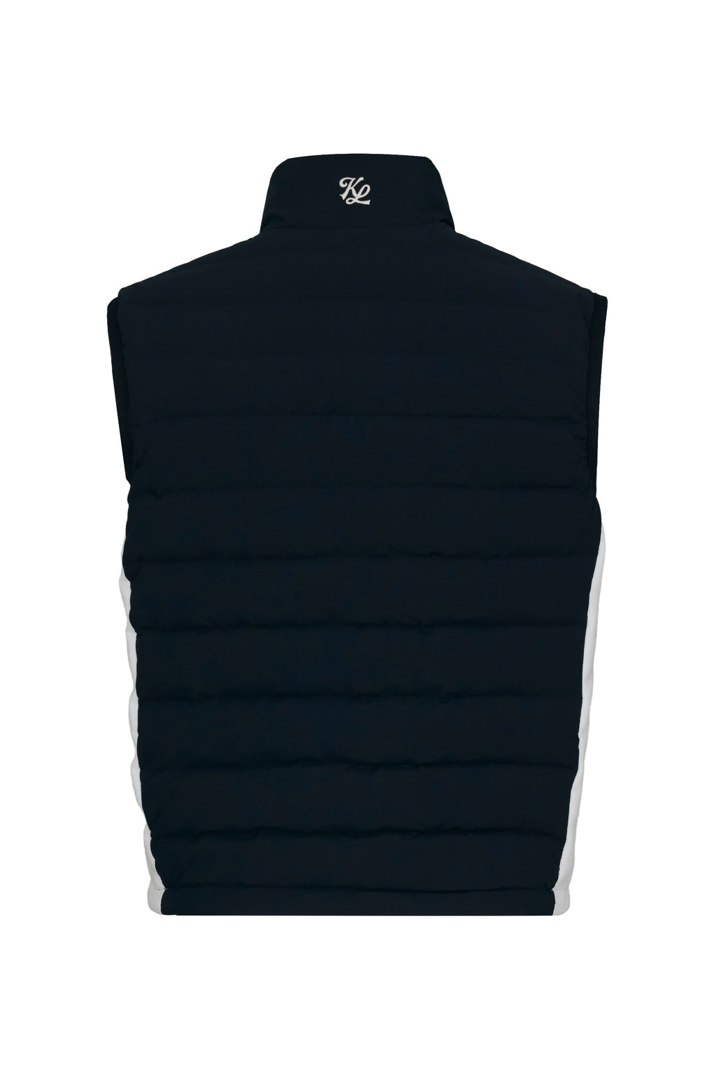 Black back