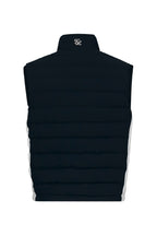Black back