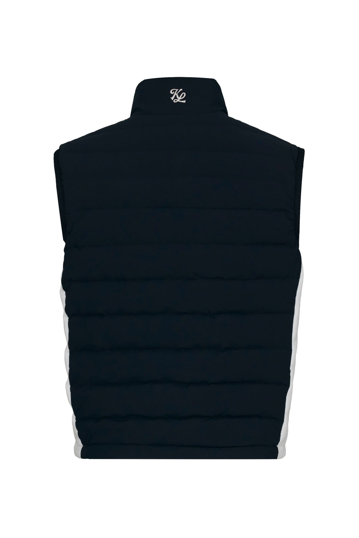 Black back