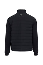 Black back