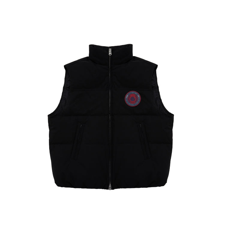 Payntr Motion Down Vest